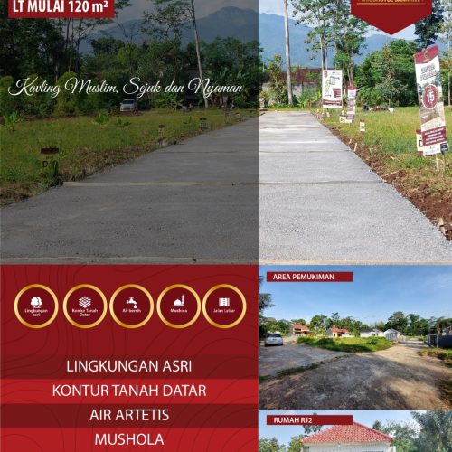 WhatsApp Image 2023-06-20 at 15.01.23